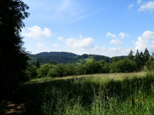 beskid wyspowy 64 (1)